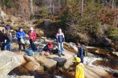 4b99c5d6-b573-4cd2-8902-802d54d31416